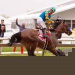 Virginia is for (Belmont) lovers