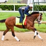 Grade 2 Dixie tops Preakness undercard