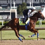 Divining Rod to carry Lael colors into Preakness