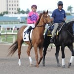 Bob Baffert’s Luminance likely Black-Eyed Susan favorite