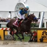 Application period for Thoroughbred Makeover opens