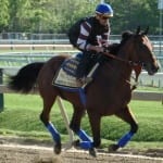 Include Betty looks for redemption in Black-Eyed Susan