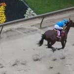In with the new on Preaknessy Preakness day