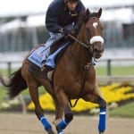 Preakness notes: Decisions, decisions