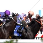 Penn Mile undercard stakes