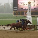 “Proud” owner thinks Firing Line will fire in Preakness