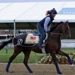 Preakness profiles: Firing Line