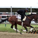 Preakness profiles: Divining Rod