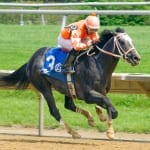 On tap: Penn Mile timer