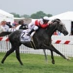 Limited View headed to G3 Miss Preakness