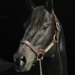 Gabby Gaudet’s longshots and exotic plays for May 30
