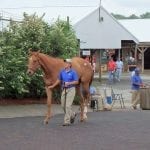 In racing, “Where is the conversation about race?”