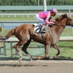 Black-Eyed Susan hopefuls work