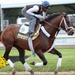 Virginia is for (Belmont) lovers