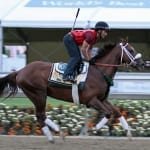 QuickTake: Horses for courses