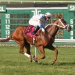 For jockey Tammi Piermarini, a new, settled chapter