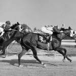 Nick’s Picks for Belmont weekend