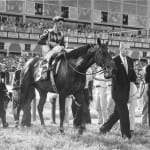 Thoroughbred Aftercare Alliance honorary Preakness postmaster