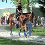Monmouth Park boosts Haskell purse