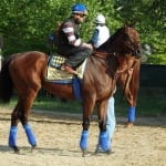 NTRA Top Thoroughbred Polls for June 9