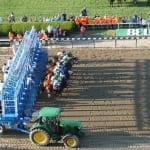 Lochte looks for graded glory in Monmouth Stakes