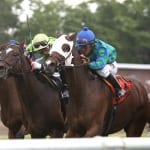 Shore Bets: United Nations day