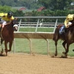 De Francis day wagering guide released