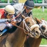 From the Spa: July 25 Midlantic-breds in Saratoga stakes