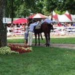 The Big Beast looks for winning ways in Vanderbilt