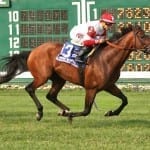 Saturday’s mid-Atlantic stakes winners