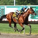 PhotoBlog: Laurel Park scenes