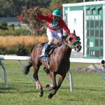 Maryland Jockey Club continues to make Laurel improvements
