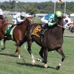 Ben’s Cat earns sixth Mister Diz win
