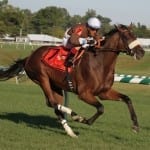 WV gubernatorial candidate calls for end to Thoroughbred subsidies