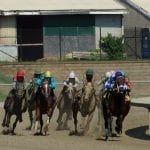 October’s Top Midlantic-bred Poll