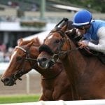 Champ World Approval looks to regain winning form in G2 Dixie