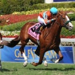Authentic new leader in NTRA Top Thoroughbred Poll