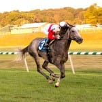 Virginia-bred races bolster Oaks card