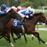Theories abound on declines at Fasig-Tipton yearling sale