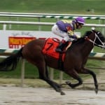 Spring to the Sky takes Laurel Dash