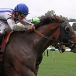 Spring to the Sky takes Laurel Dash