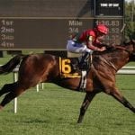 Delaware Park upgrades to HD signal with help from Jockey Club