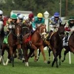 First foal born for Uncle Lino