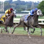 Theories abound on declines at Fasig-Tipton yearling sale