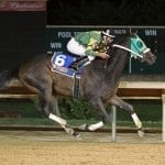 Laurel Park Racing Notebook, Fall Meet Vol. 5