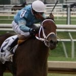 Breeders’ Cup dashboard