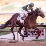 WVBC celebrates “local horses and local talent”