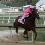Rainbow 6 carries $66k into Laurel Park Saturday