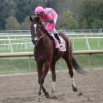 The art of Maryland Million race selection