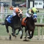 Laurel Park: Thanksgiving means carryovers and pies